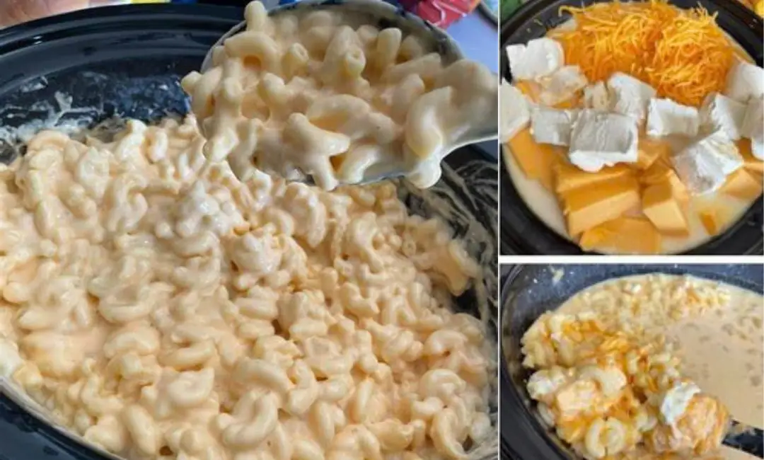 crock pot mac and cheese recipe